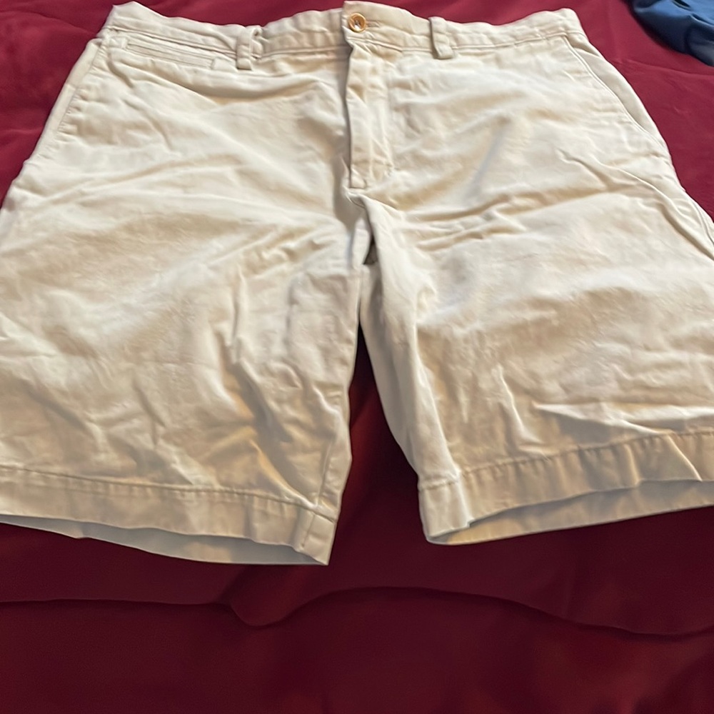 Khaki Shorts